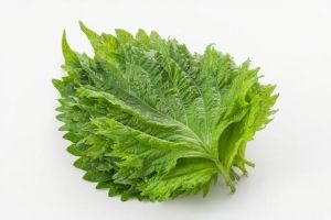 洗いと、準備
